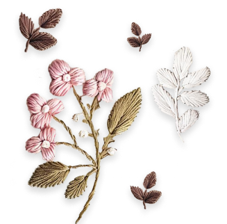 about-image